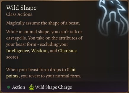 Baldur’s Gate 3 Circle of the Land Druid Build Guide - Wild Shape