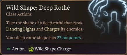 Wild Shape Deep Rothe